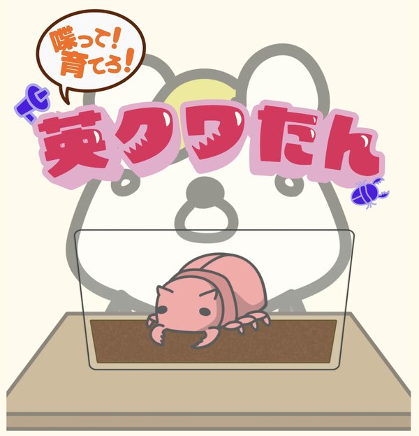 喋って！育てろ！英クワたん